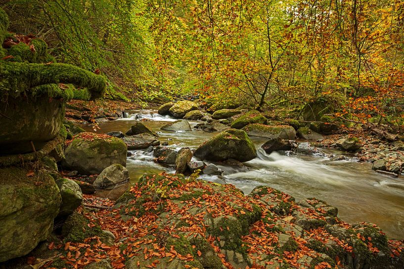 Birks of Aberfeldy; Moness Burn; Moness; Nr Aberfeldy; Perthshir van Arch White