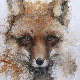 Fox von Peter van Loenhout