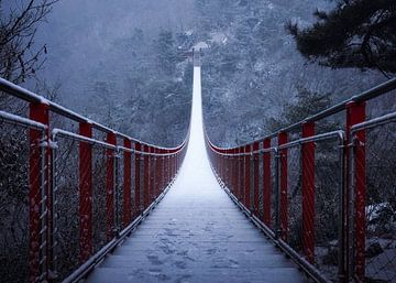Winterbrug van Tiger Seo
