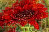 Rote Blume von Carla van Zomeren Miniaturansicht
