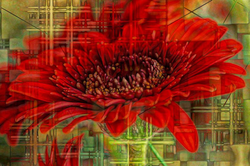 Red flower by Carla van Zomeren