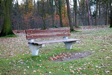 Bankje in het park / Bench in the park van Ocmer Fotografie