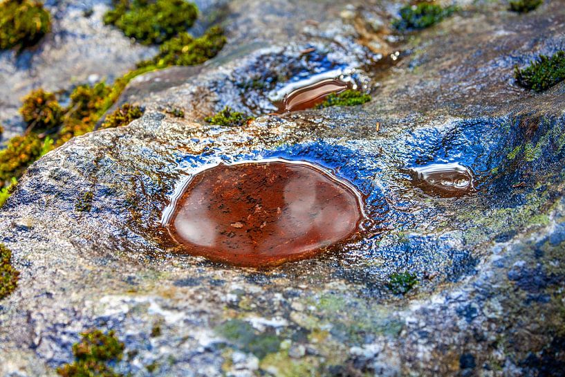 Ein rotes Auge am Stein von Christa Kramer