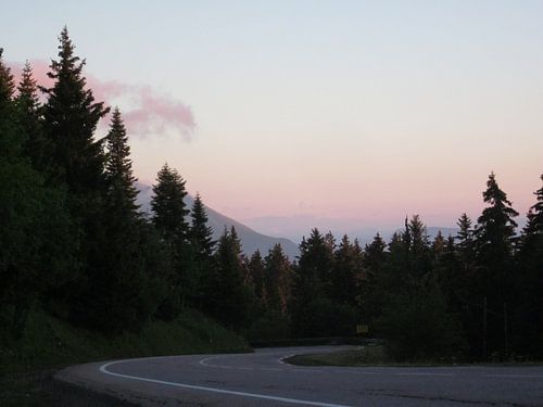 Kronkelende weg door de bossen