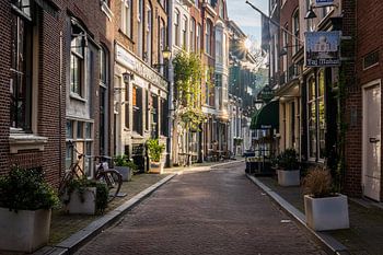 Tranquil Dawn: Maliestraat, The Hague