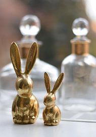 Golden rabbits by Melissa Tapken