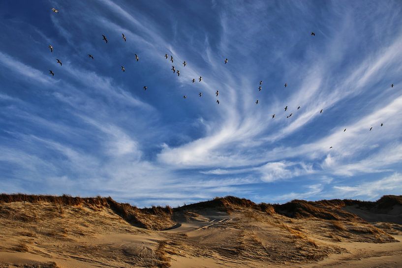 Luchten von Marjet van Veelen