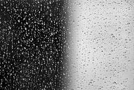 Regendruppels  zwart wit van Niels  de Vries thumbnail