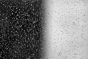 Regentropfen schwarz und weiß von Niels  de Vries