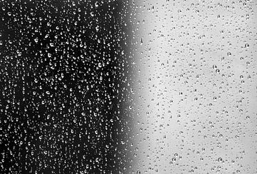 Raindrops black and white by Niels  de Vries