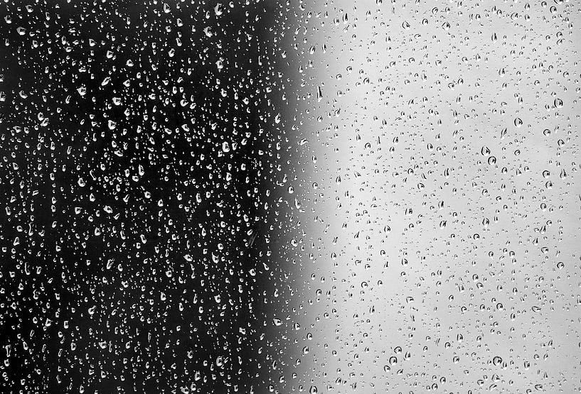 Raindrops black and white by Niels  de Vries