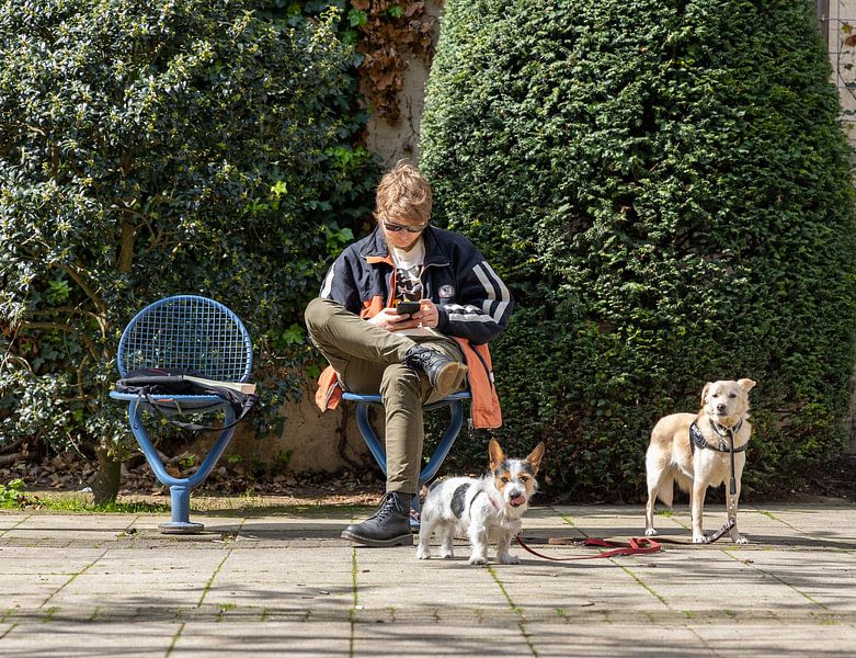 Gassi gehen mit den Hunden von @Unique