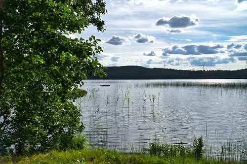 Meer in Zweden met witte wolken, blauw water en bomen aan de oever