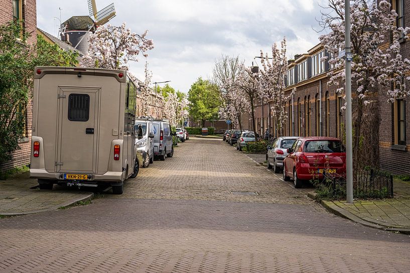 Spring blossom on Warmoesstraat by Jeroen van Eck