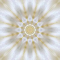 Pure light
