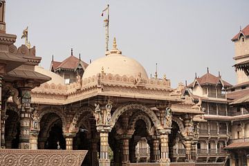 Swaminarayan-Tempel, ein hinduistisches Meisterwerk von Frank Photos