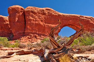 ARCHES NATIONALPARK North Window