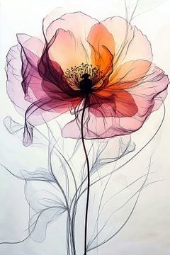 The Inner World of the Poppy no.2 by Studio BB