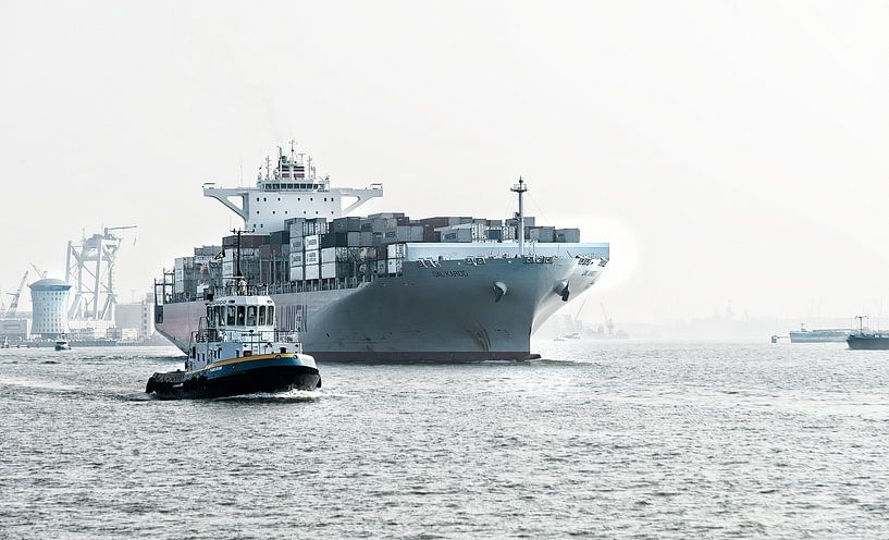 Containerschiff auf dem Weg von Rotterdam zur See von Anouschka Hendriks