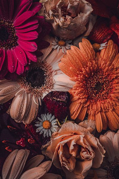 Stillleben Gerbera von Lisa Scheffler