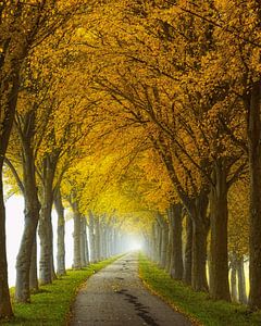 Endlos Straße von Lars van de Goor