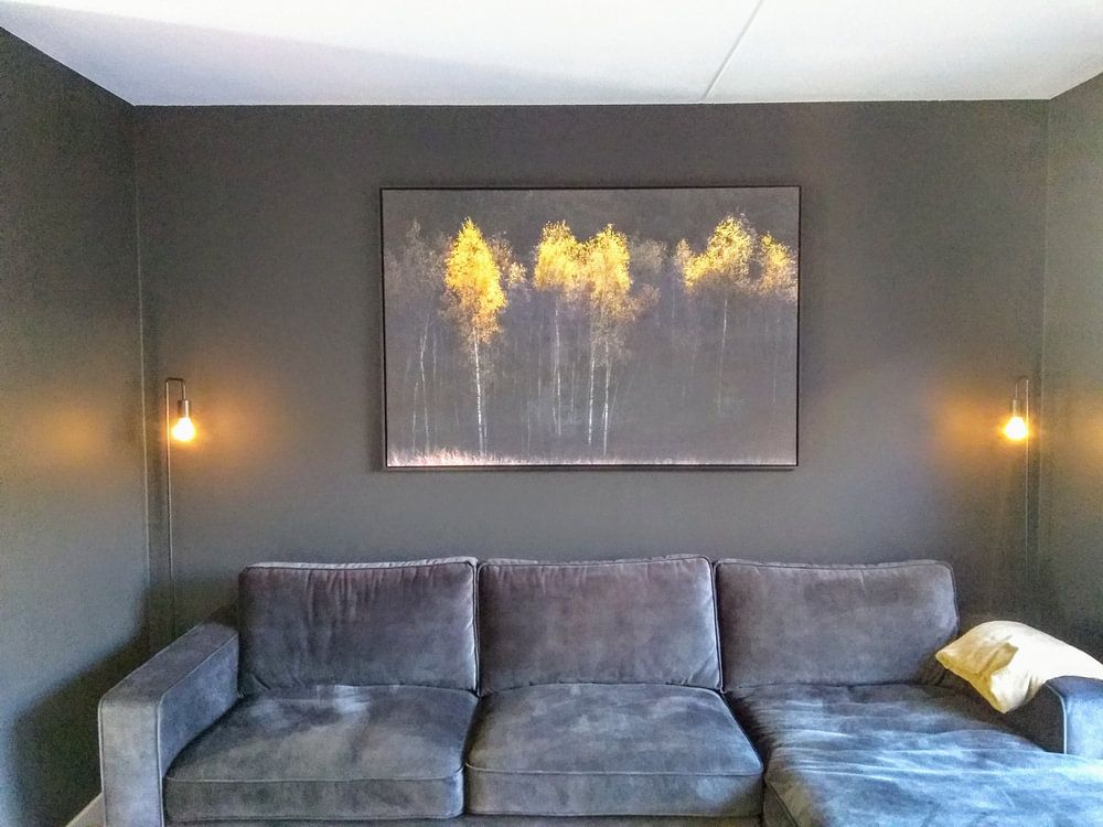 Autumn atmosphere with birches  by Ton Drijfhamer 