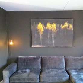 Customer photo: Autumn atmosphere with birches by Ton Drijfhamer, on canvas
