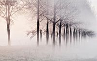 Nebel in den Poldern von Zeeland von Ellen Driesse Miniaturansicht