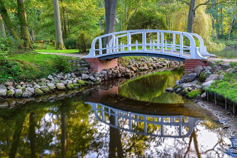 Mooie kleine brug over de kleine vijver van Yevgen Belich