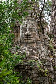 Buddha-Statue im Dschungel von Richard van der Woude