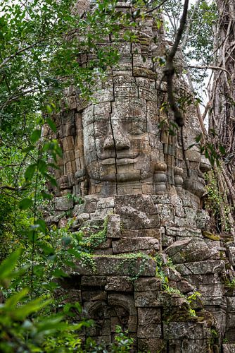 Boeddha beeld in jungle