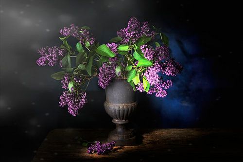 Dromerig stilleven met paarse seringen .