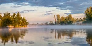 Morgenglühen im Biesbosch