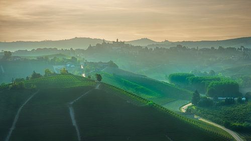 Neive dorp en Langhe wijngaarden