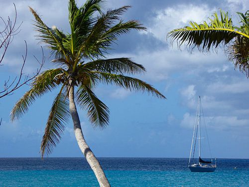 Les Caraïbes à la Barbade