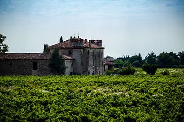 Altes Wein-Château in Frankreich. von Pepijn van der Putten