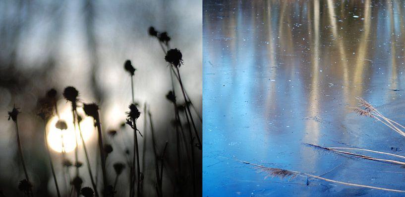 Cold as ice, a diptych of water and land par Anne Hana
