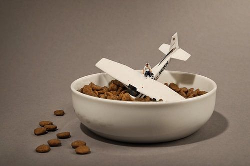 Unfallpilot von Remko Killaars