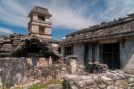 Mexico: Pre-Hispanic City and National Park of Palenque (Palenqu by Maarten Verhees