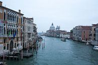 La vie dans l'eau - Venise par Michelle Rook Aperçu