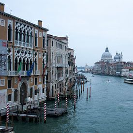 La vie dans l'eau - Venise sur Michelle Rook