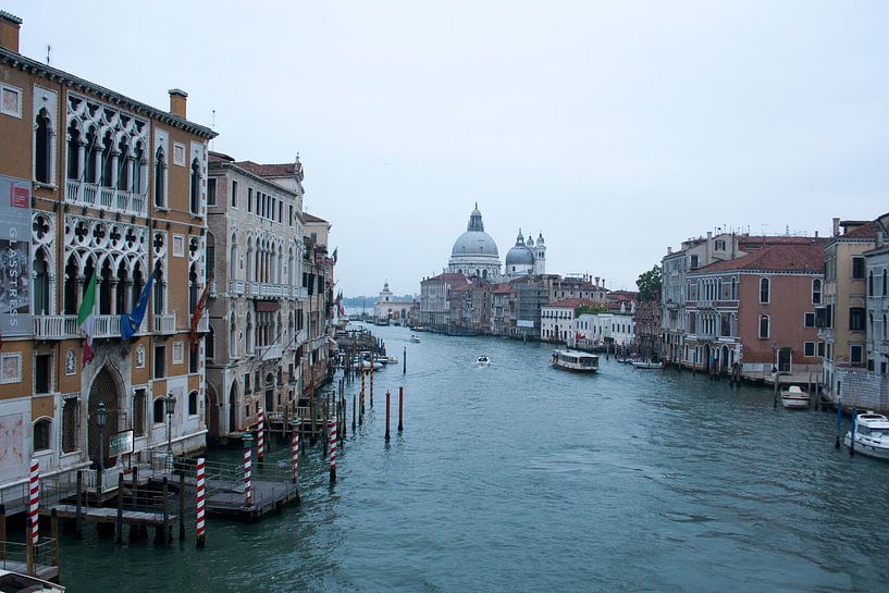 La vie dans l'eau - Venise par Michelle Rook