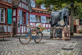 Kork in Hanauerland by artevaria.de