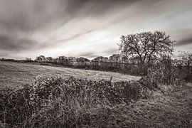 Dikkebuiksweg in Wijlre