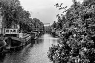 De Brouwersgracht vanaf de Bullebak in Amsterdam.  van Don Fonzarelli thumbnail