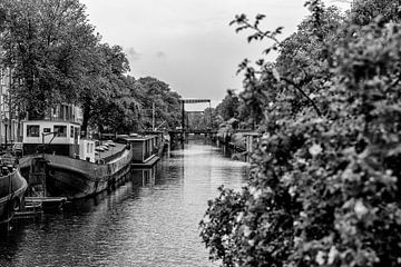 Le Brouwersgracht depuis le Bullebak à Amsterdam.  sur Don Fonzarelli