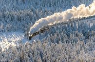 The Harz narrow-gauge railway in winter by Patrice von Collani thumbnail