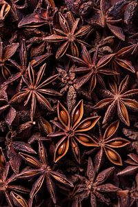 Warme Farben: Sternanis (in der Küche)