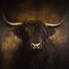 Black Scottish Highland | Portrait animalier Fine Art sur fond sombre sur Lauren Wilde