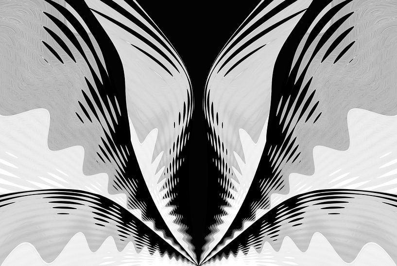 Wavy abstract lines and shapes in black and white by Lisette Rijkers